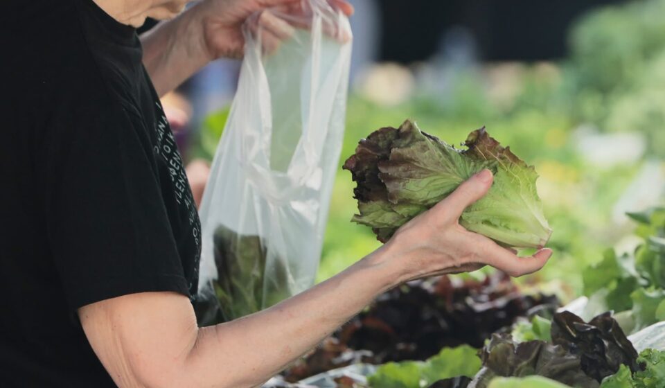 Cyclospora fears lead consumers to lose their appetite for salads
