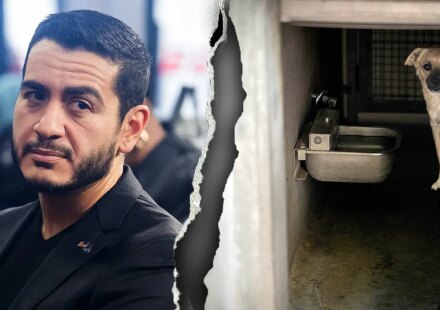 Dem Senate nominee’s Detroit record resurfaces after ‘dog slaughterhouse’ claims