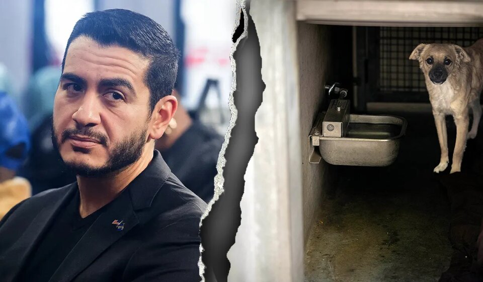 Dem Senate nominee’s Detroit record resurfaces after ‘dog slaughterhouse’ claims