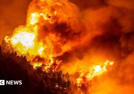 Dozens injured and thousands evacuated in Croatia wildfire