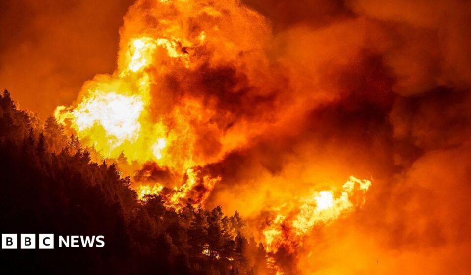 Dozens injured and thousands evacuated in Croatia wildfire