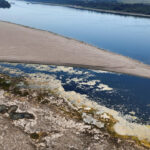 Drought-hit Danube gives way to mammoth fossil hunt in Bulgaria
