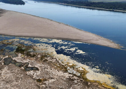 Drought-hit Danube gives way to mammoth fossil hunt in Bulgaria