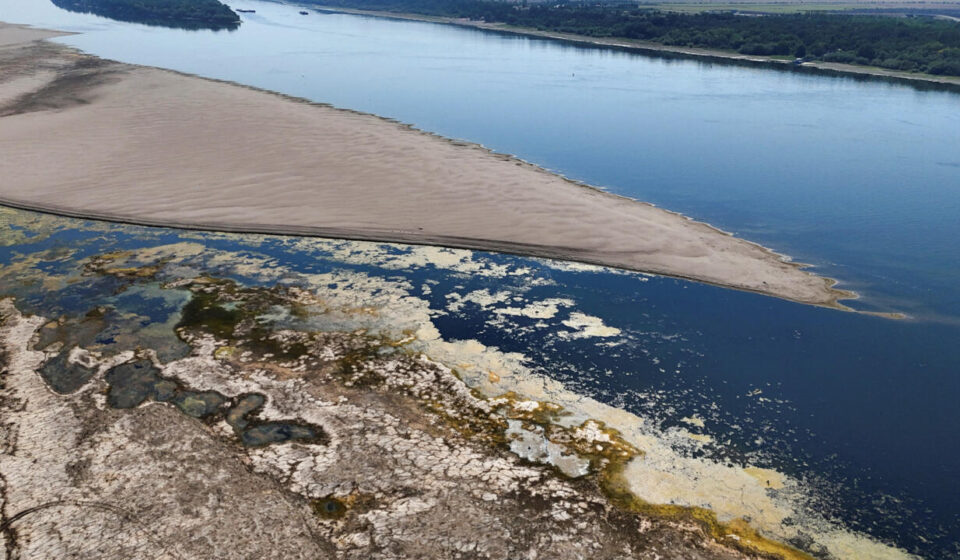 Drought-hit Danube gives way to mammoth fossil hunt in Bulgaria