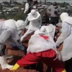 Ebola outbreak in DR Congo: One death every 30 minutes