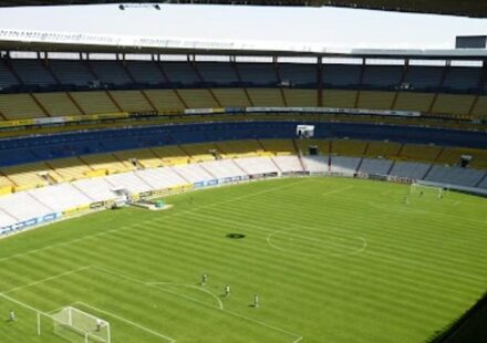 El deporte ya se sigue a golpe de móvil