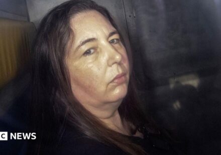 Erin Patterson: The hotel booking snafu that could free mushroom murderer