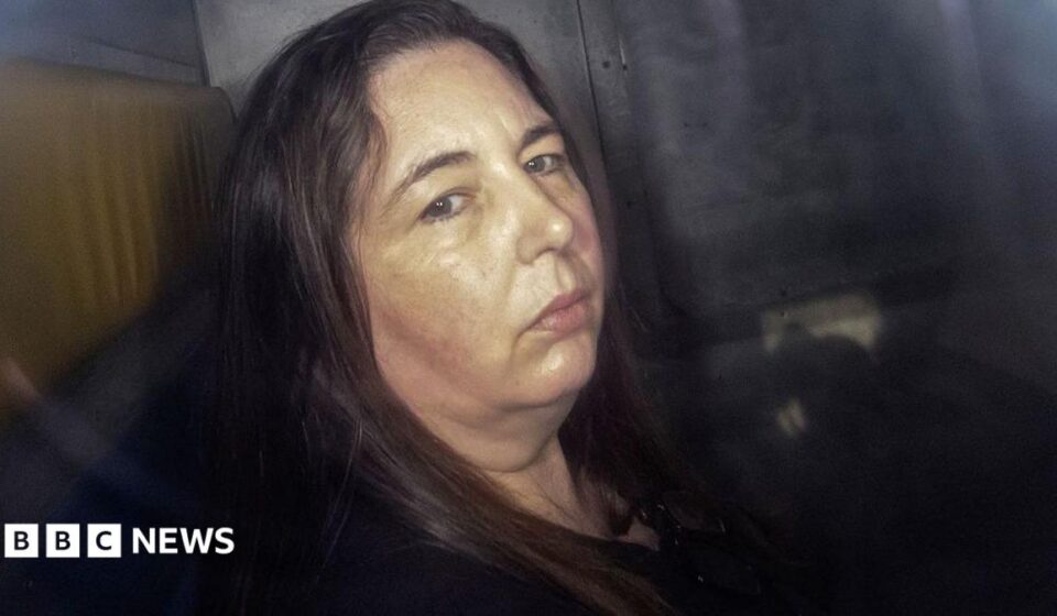 Erin Patterson: The hotel booking snafu that could free mushroom murderer