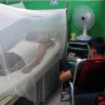 España: Triplican los casos de chikungunya en España