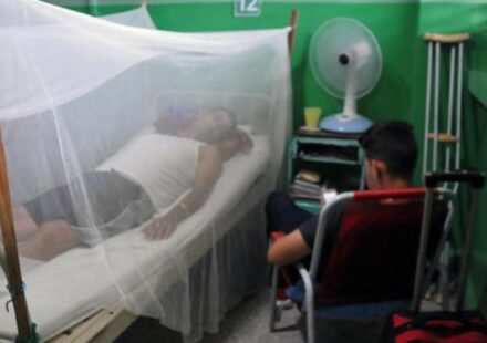 España: Triplican los casos de chikungunya en España
