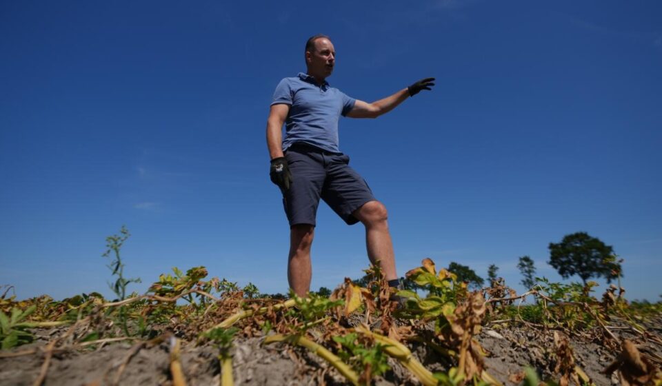 European drought shrivels crops despite farmers’ best efforts to adapt