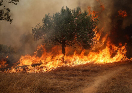 Europe's record-breaking heat sparks wildfires, drought in France, Greece and the UK