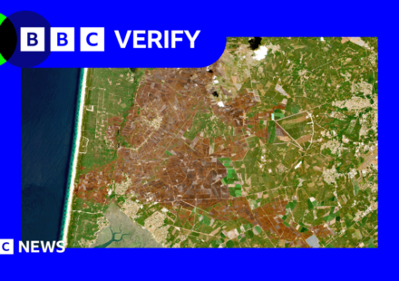 Europe's scorched landscapes seen from space after summer heatwaves
