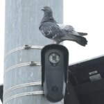 Flock Safety cameras face bipartisan scrutiny over mass surveillance