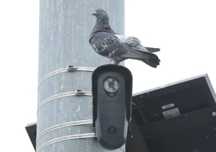 Flock Safety cameras face bipartisan scrutiny over mass surveillance