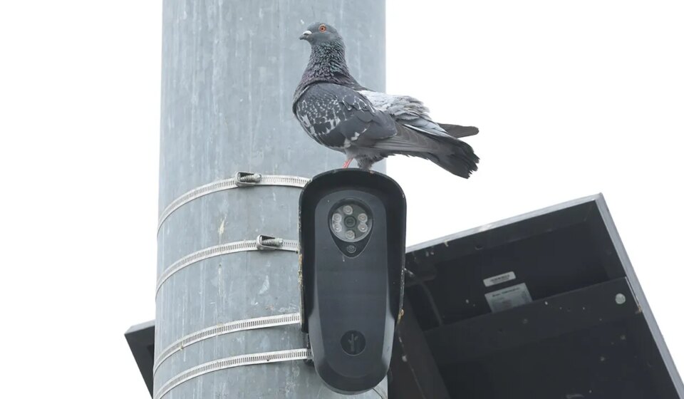 Flock Safety cameras face bipartisan scrutiny over mass surveillance