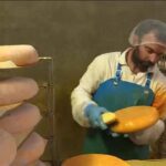 France: Drought's impact on the cheese industry