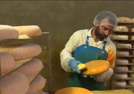 France: Drought's impact on the cheese industry