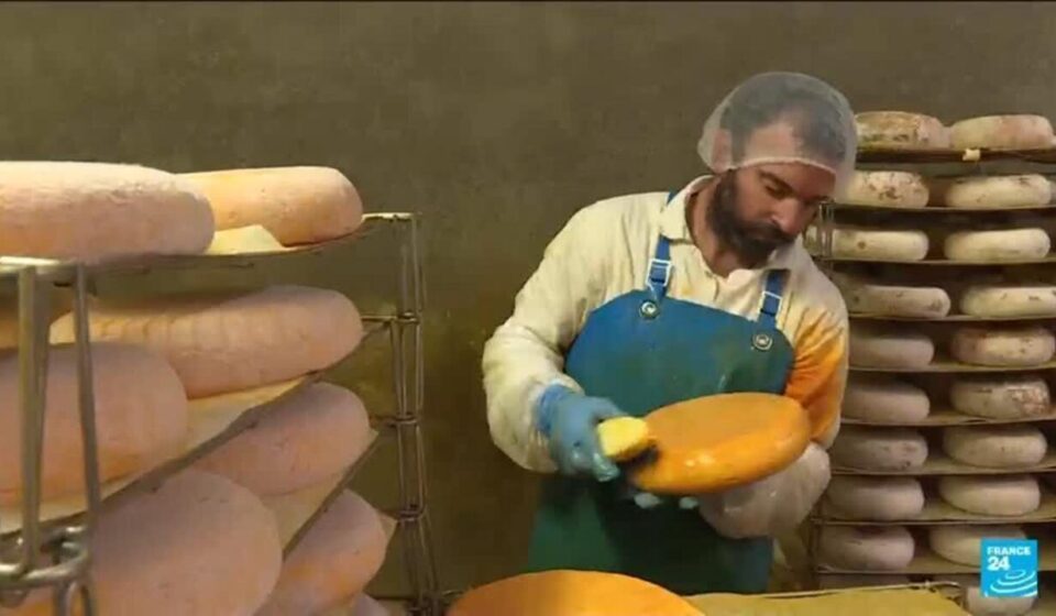France: Drought's impact on the cheese industry