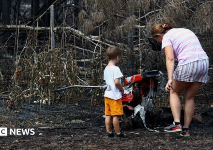 France wildfires reveal hundreds of WW2 shells in village