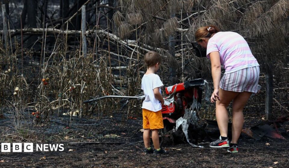 France wildfires reveal hundreds of WW2 shells in village