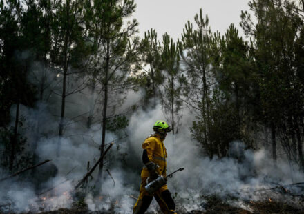 French firefighters stop wildfires' spread but they continue to burn
