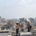 Gaza's beekeepers are rebuilding their livelihoods amid the ruins of war