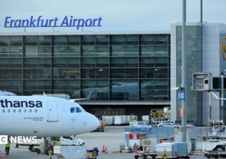 German airport worker dies of malaria after 'mosquito arrives on plane'