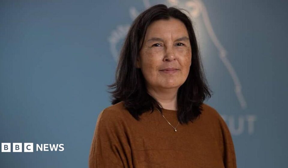 Greenland says findings on forced contraception genocide allegation not final