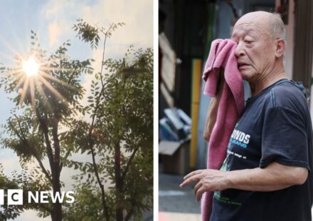 Heatwave: South Korea records its hottest day since records began