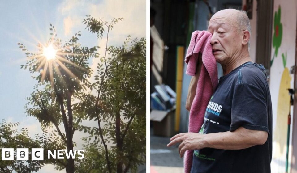 Heatwave: South Korea records its hottest day since records began