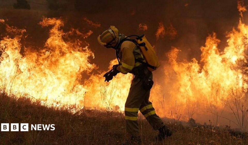 How Australia combines modern tech and Indigenous knowledge to fight fire