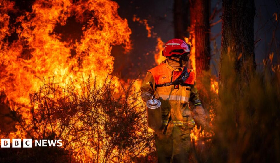 Hundreds arrested over French wildfires, but who is to blame?