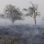 Hundreds of villagers evacuate as Belgium battles record wildfire