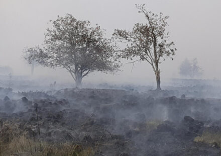 Hundreds of villagers evacuate as Belgium battles record wildfire