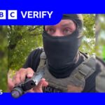 ICE: BBC Verify speaks to woman after agent points gun at her