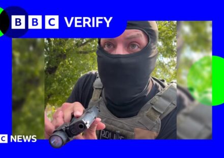 ICE: BBC Verify speaks to woman after agent points gun at her