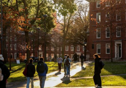 International student enrollment falls amid tighter U.S. visa policies: Reports