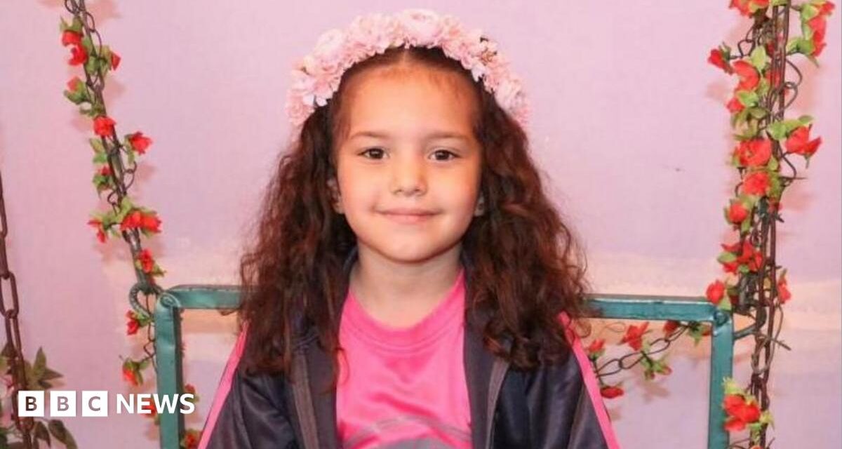 Israel confirms it opened fire on vehicle carrying five-year-old Hind Rajab in Gaza