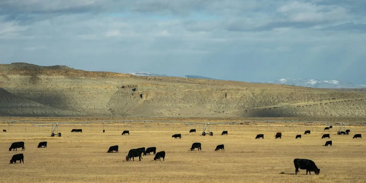 James Byrd wins Wyoming's Democratic primary for open Senate seat