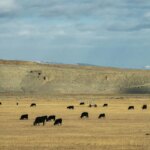 James Byrd wins Wyoming's Democratic primary for open Senate seat