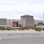 Jellyfish force partial shutdown of France's Gravelines nuclear plant