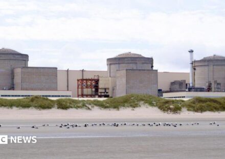 Jellyfish force partial shutdown of France's Gravelines nuclear plant