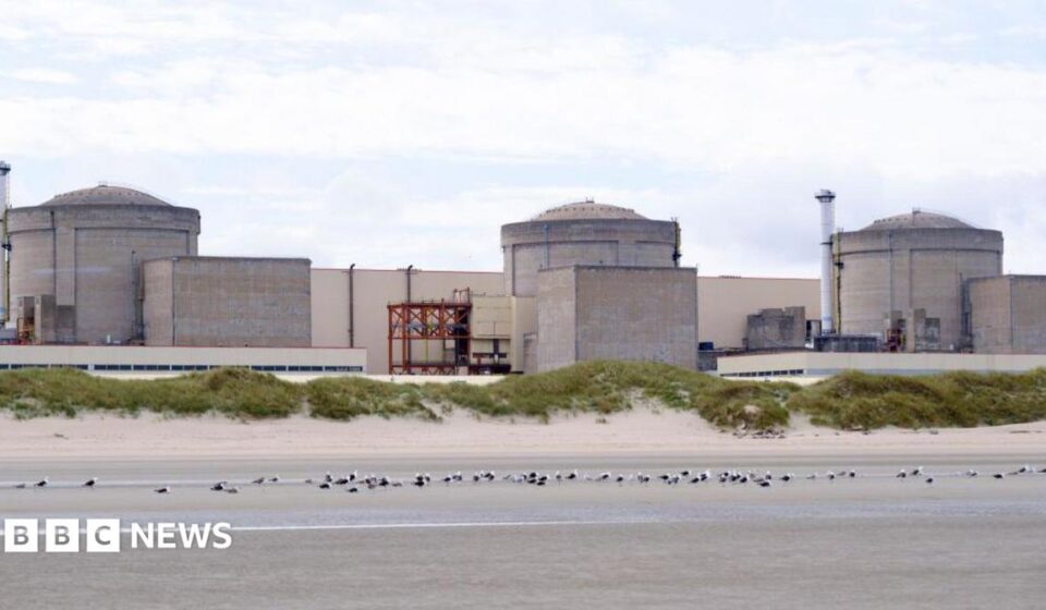 Jellyfish force partial shutdown of France's Gravelines nuclear plant