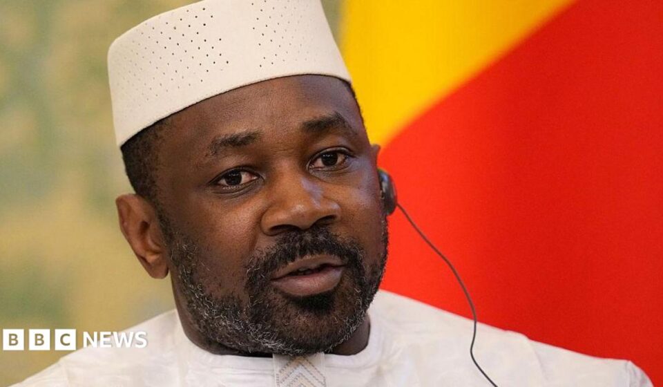 Mali coup plot: Presidential pardon for French alleged spy Yann Vezilier