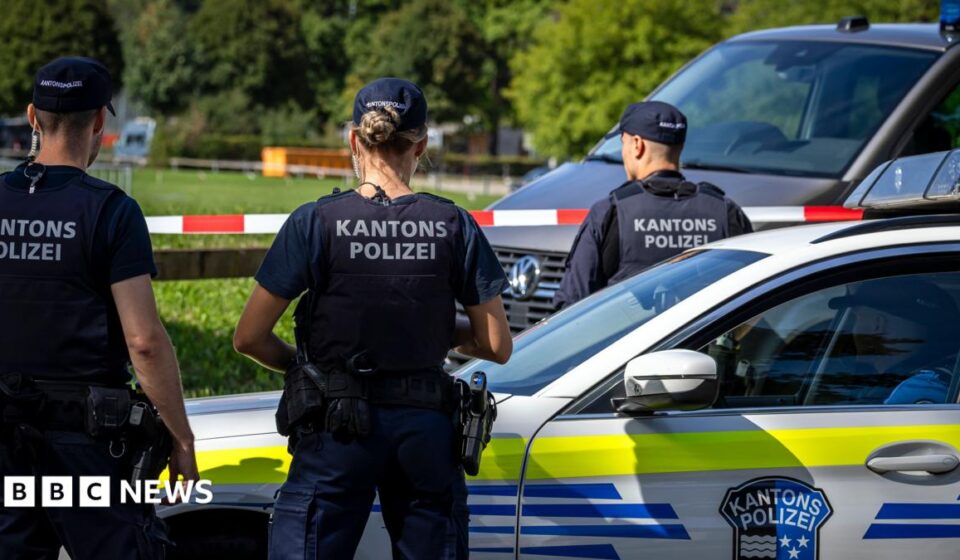 Man arrested after Swiss rave shooting that killed 22-year-old woman