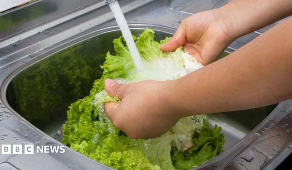 Michigan reports first two deaths linked to cyclospora outbreak