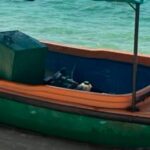 Migración: Diez balseros cubanos desembarcan en Cayo Hueso en una lancha robada en la Isla
