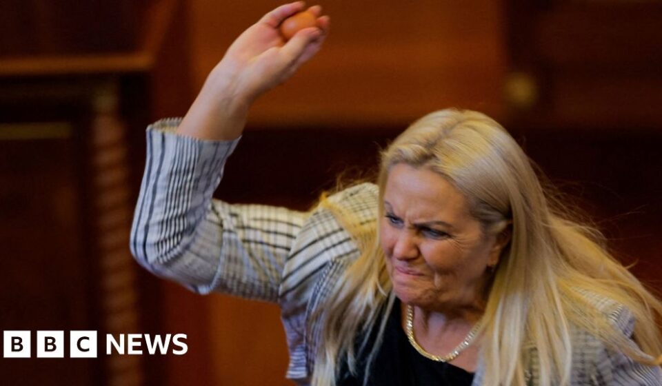 Moment opposition MP throws eggs at prime minister of Kosovo