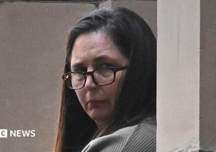 Mushroom murderer Erin Patterson is appealing - here's what you need to know